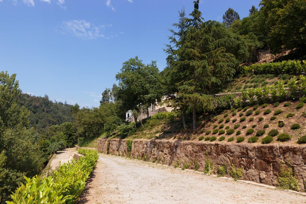 Douro Green Guest House Castelo de Paiva Exterior photo