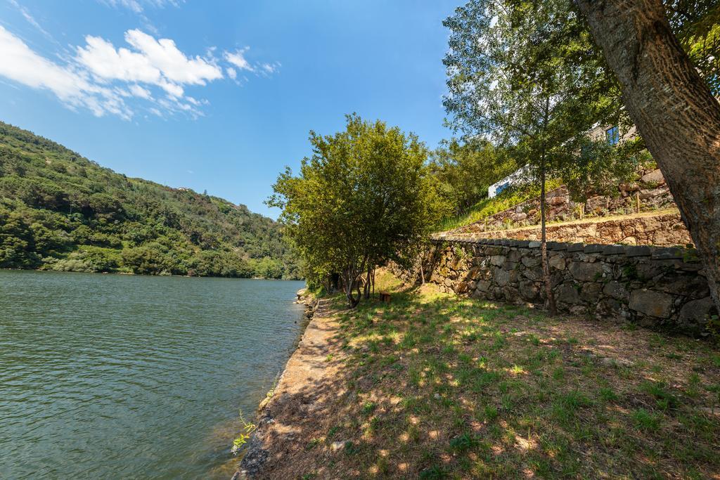 Douro Green Guest House Castelo de Paiva Exterior photo